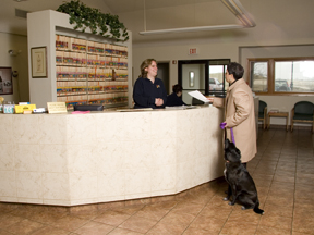 Reception Area